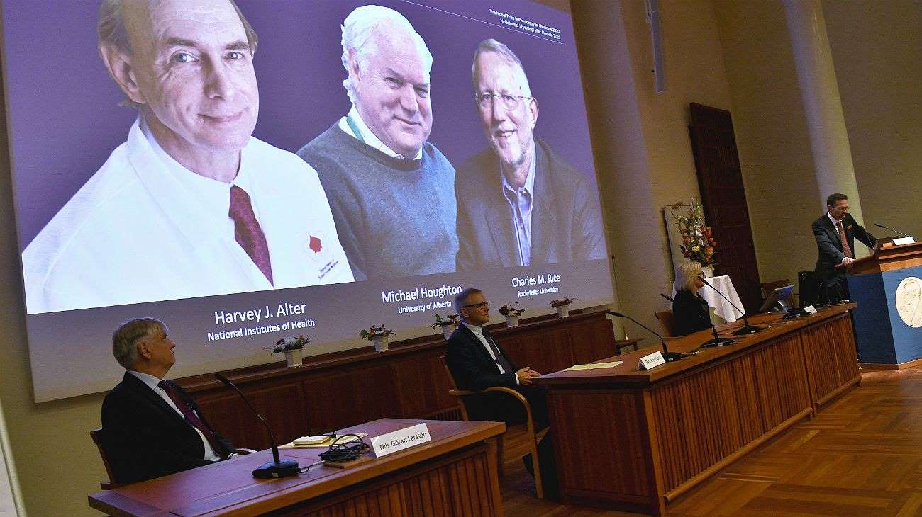 En este momento estás viendo Nobel de medicina para los descubridores del virus de la hepatitis C