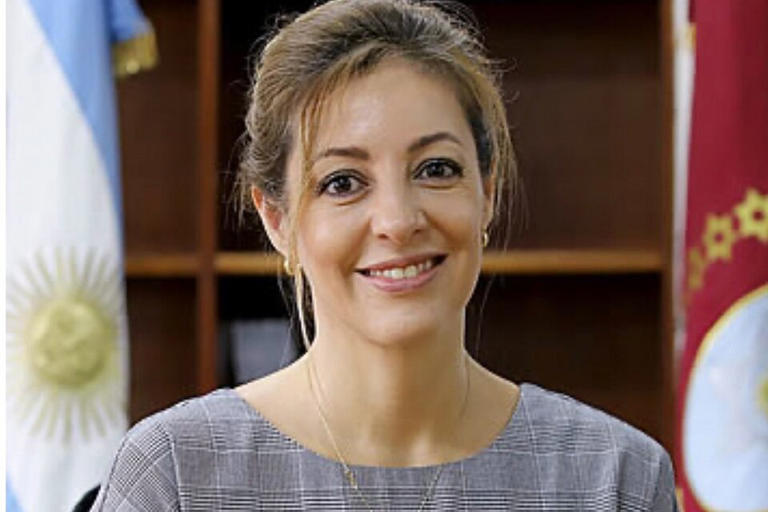 En este momento estás viendo Quién es Flavia Royón, nueva secretaria de Energía