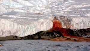 Lee más sobre el artículo Cataratas de Sangre, en la Antártida
