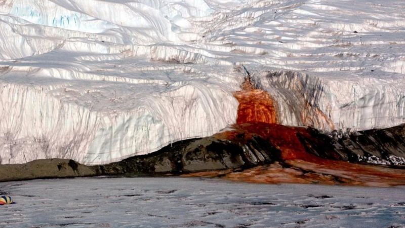 En este momento estás viendo Cataratas de Sangre, en la Antártida