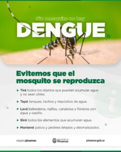 Lee más sobre el artículo El Dengue