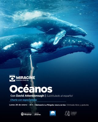 En este momento estás viendo Se viene OCÉANOS a Pinamar