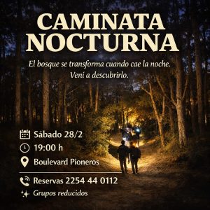 Lee más sobre el artículo CAMINATA NOCTURNA EN EL BOSQUE