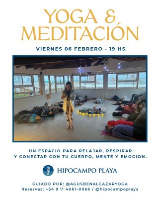 En este momento estás viendo SONIDO, MAR Y PRESENCIA EN HIPOCAMPO