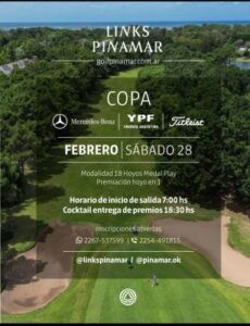 Lee más sobre el artículo COPA